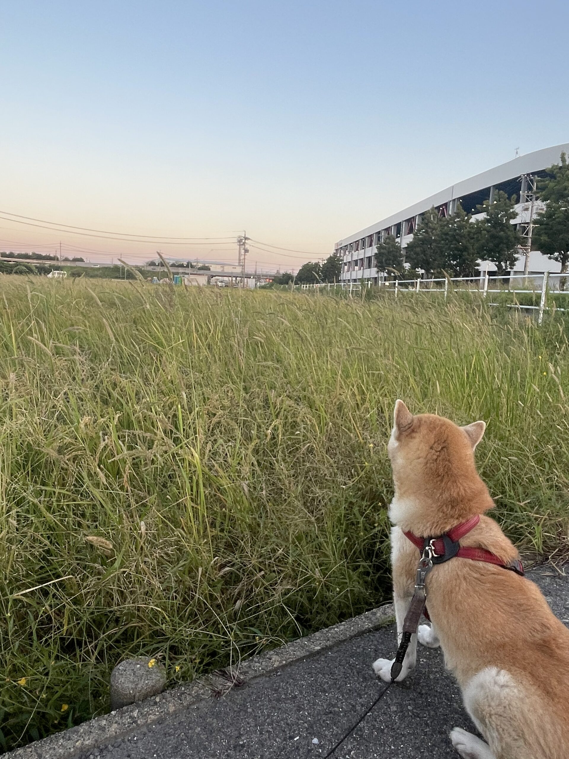 今週の営業日です！