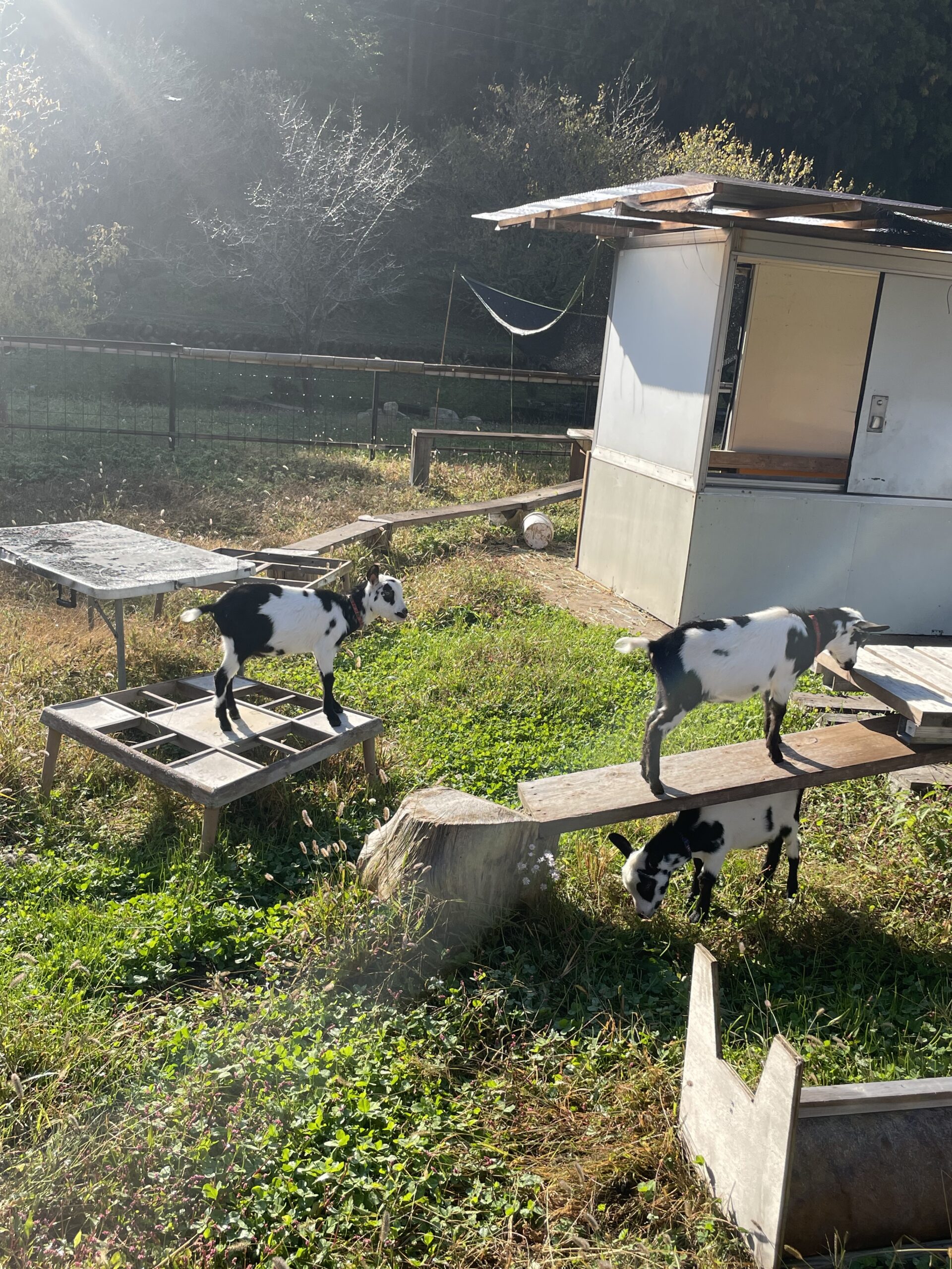 今週の営業日です！